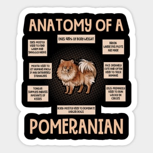 Anatomy Of A Pomeranian Sticker